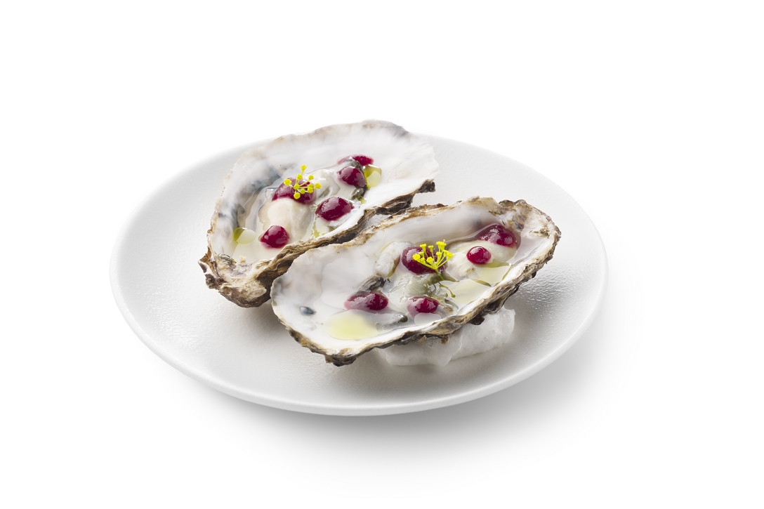 Oester met cranberry - photo1 | Debic