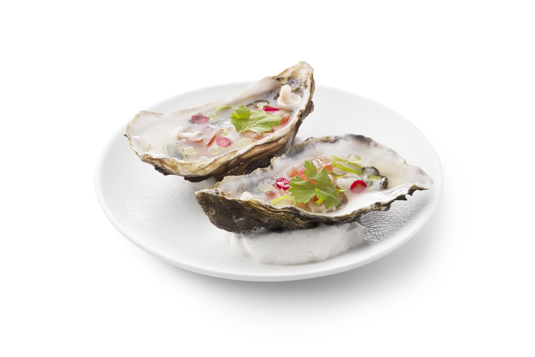 Oesterceviche - photo1 | Debic