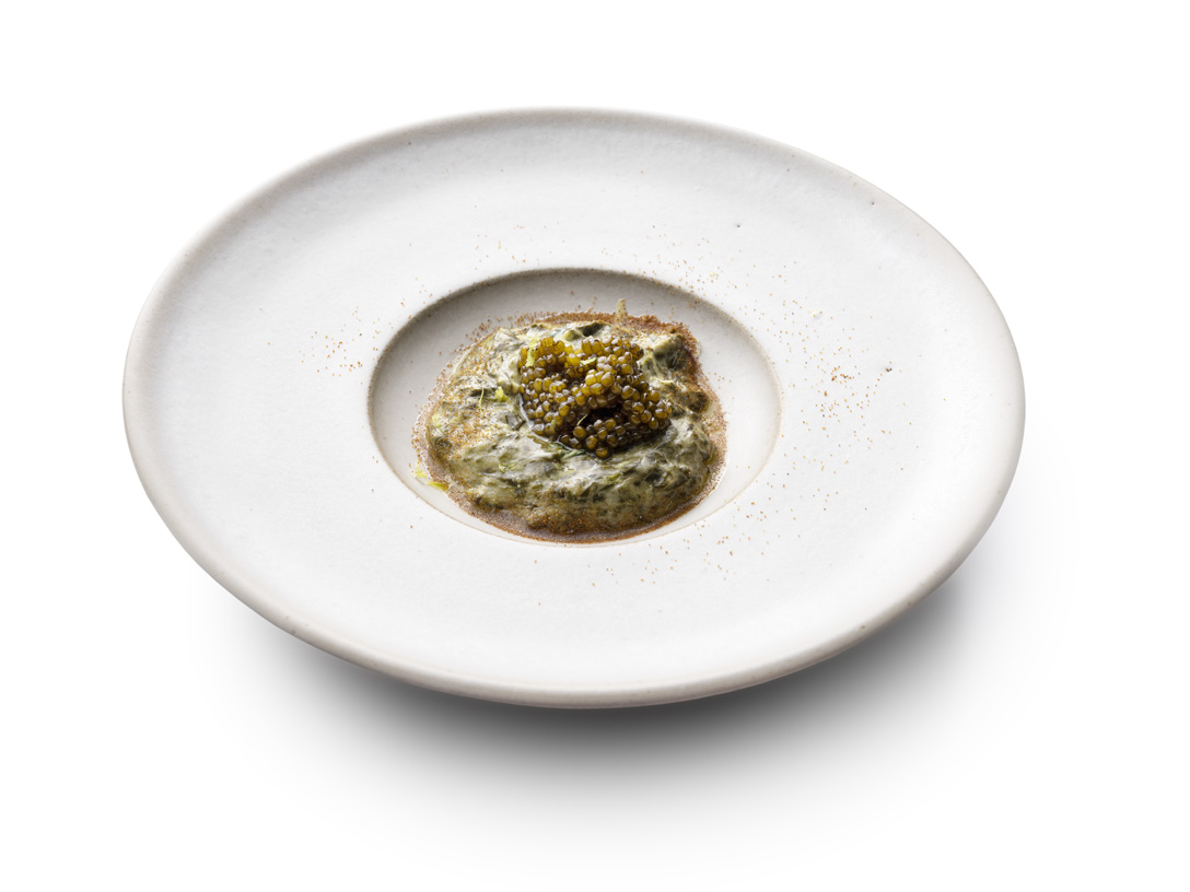 Acetosella alla panna - photo1 | Debic