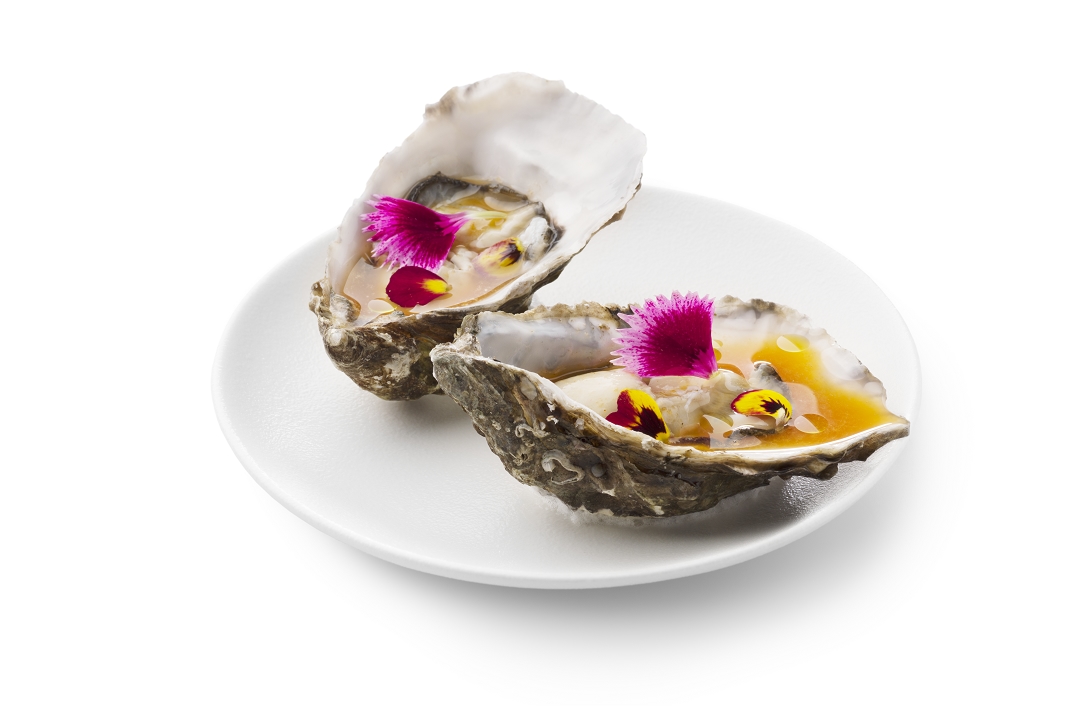 Oester Tom Yam - photo1 | Debic