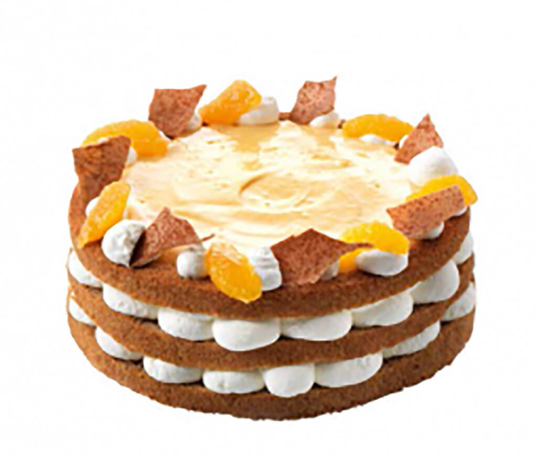 Smoothie slagroomtaart Winter - photo1 | Debic