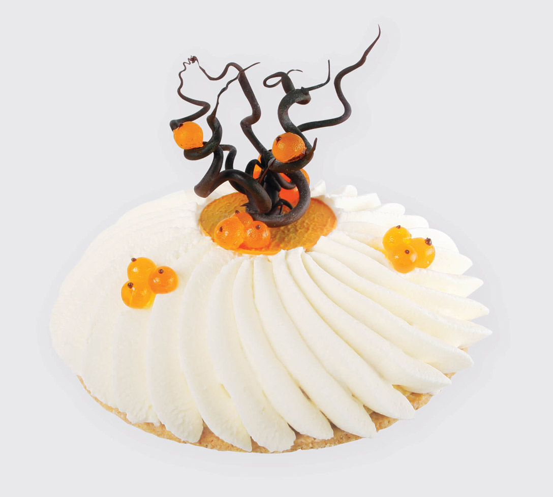 Slagroomtaart - photo1 | Debic