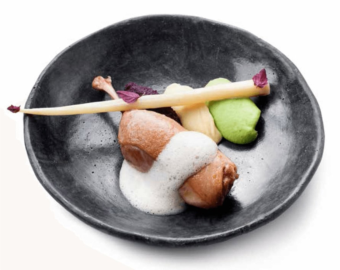 Pekeleend - photo1 | Debic