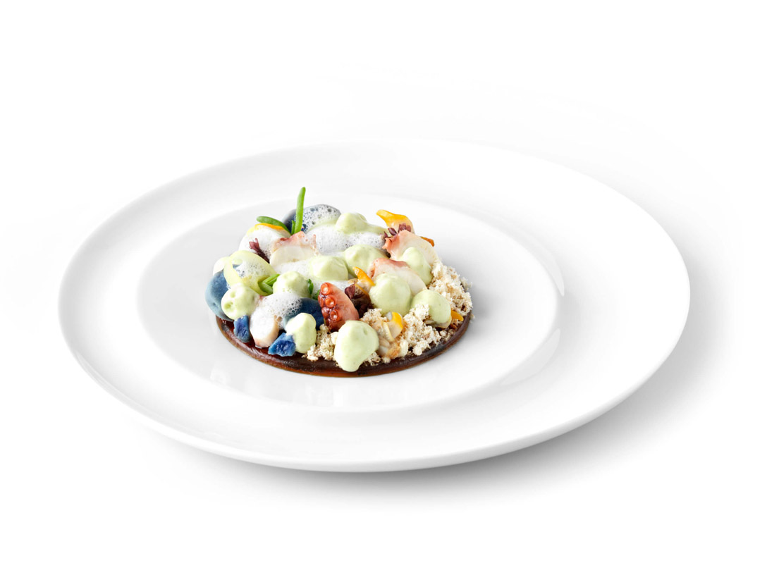 Koraalrif - photo1 | Debic