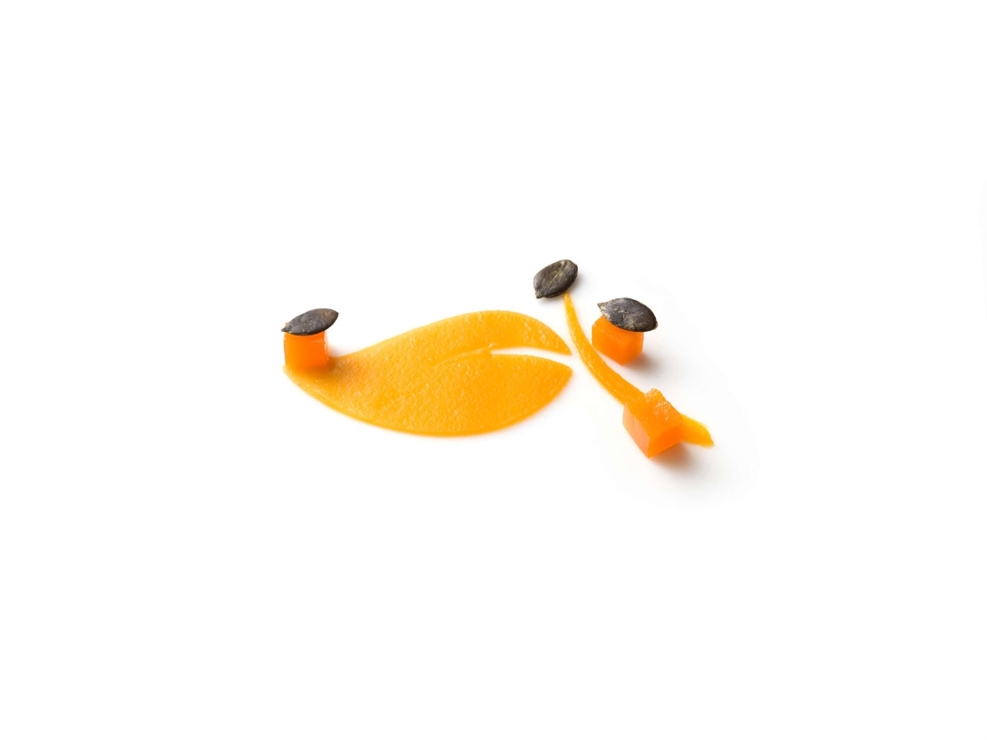 Crème van pompoen - photo1 | Debic