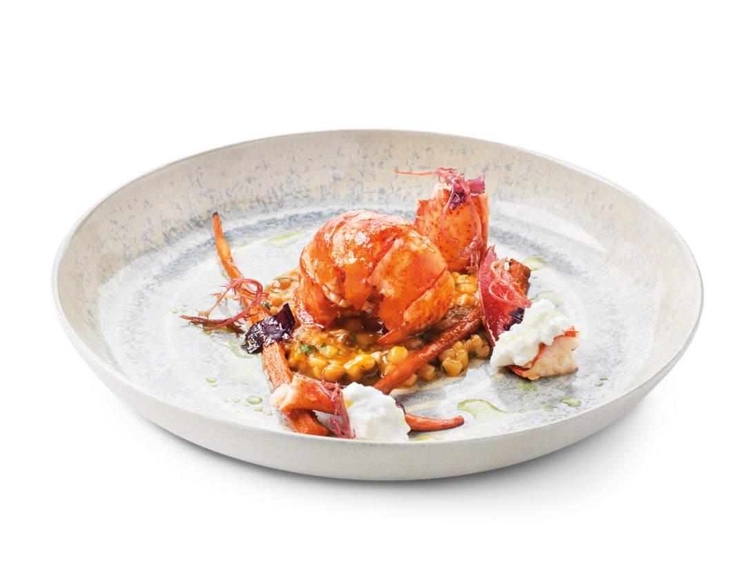 Kreeft met gefermenteerde wortelbolognese - photo1 | Debic