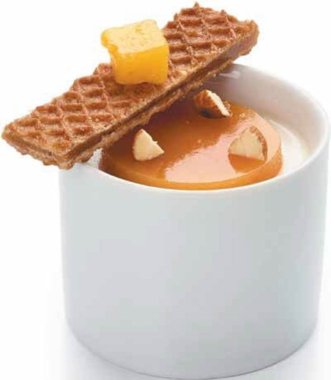 Panna Cotta Amande et abricots - photo1 | Debic