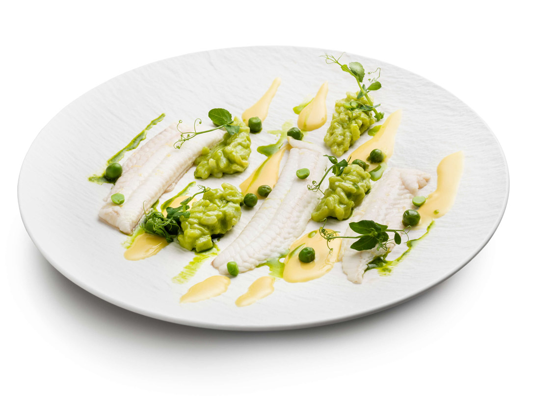 Zacht gegaarde tong - photo1 | Debic