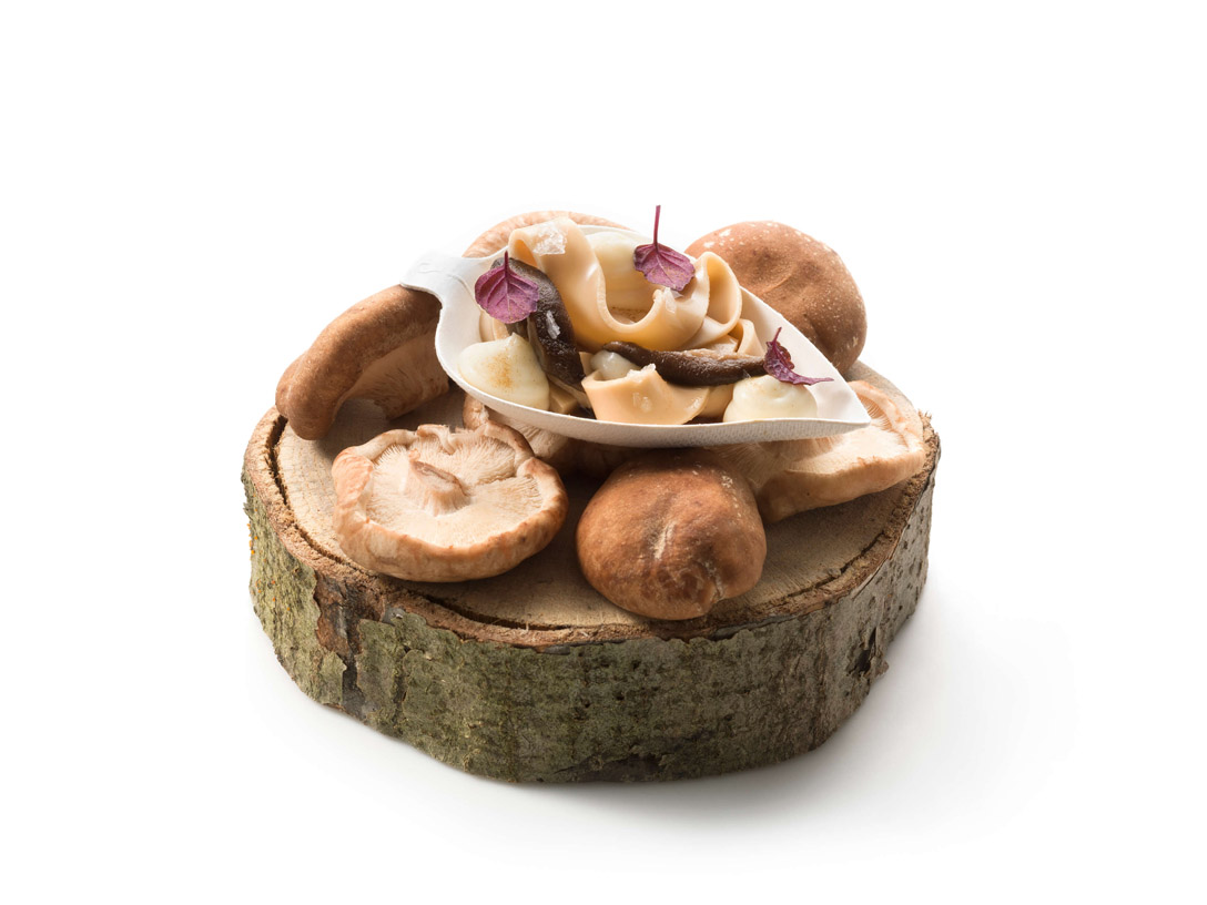 De Noedel - photo1 | Debic