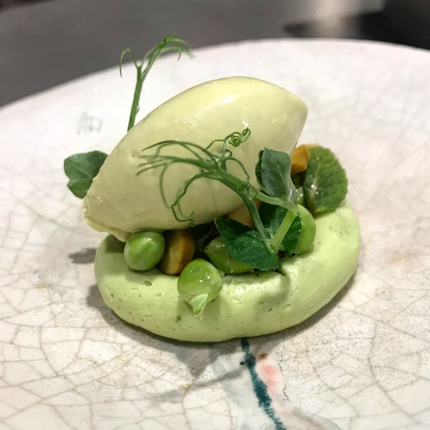 Guisante lágrima, pandam y pistacho - photo1 | Debic