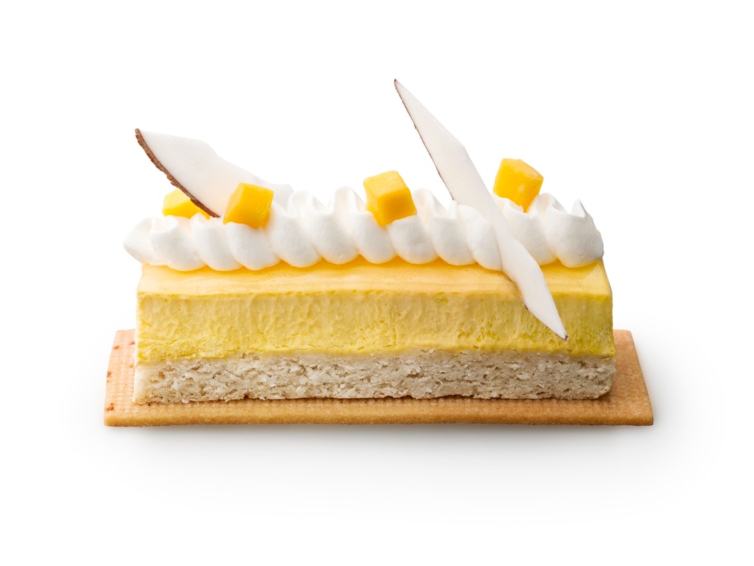 Mango coconut slice - photo1 | Debic