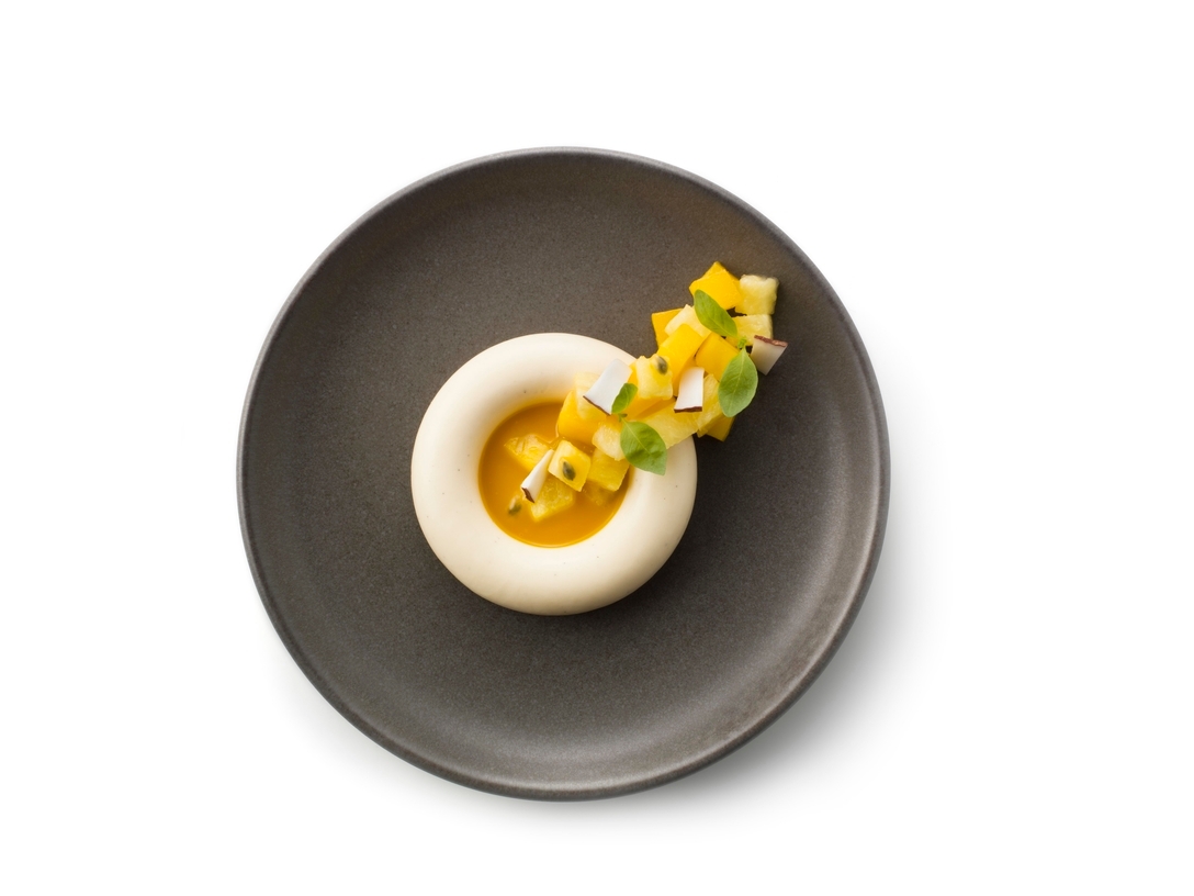 Panna cotta ring with tropical fruit - photo1 | Debic