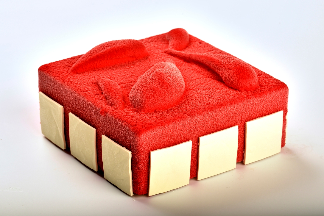 Gâteau glacé au mascarpone et à la cerise - photo1 | Debic