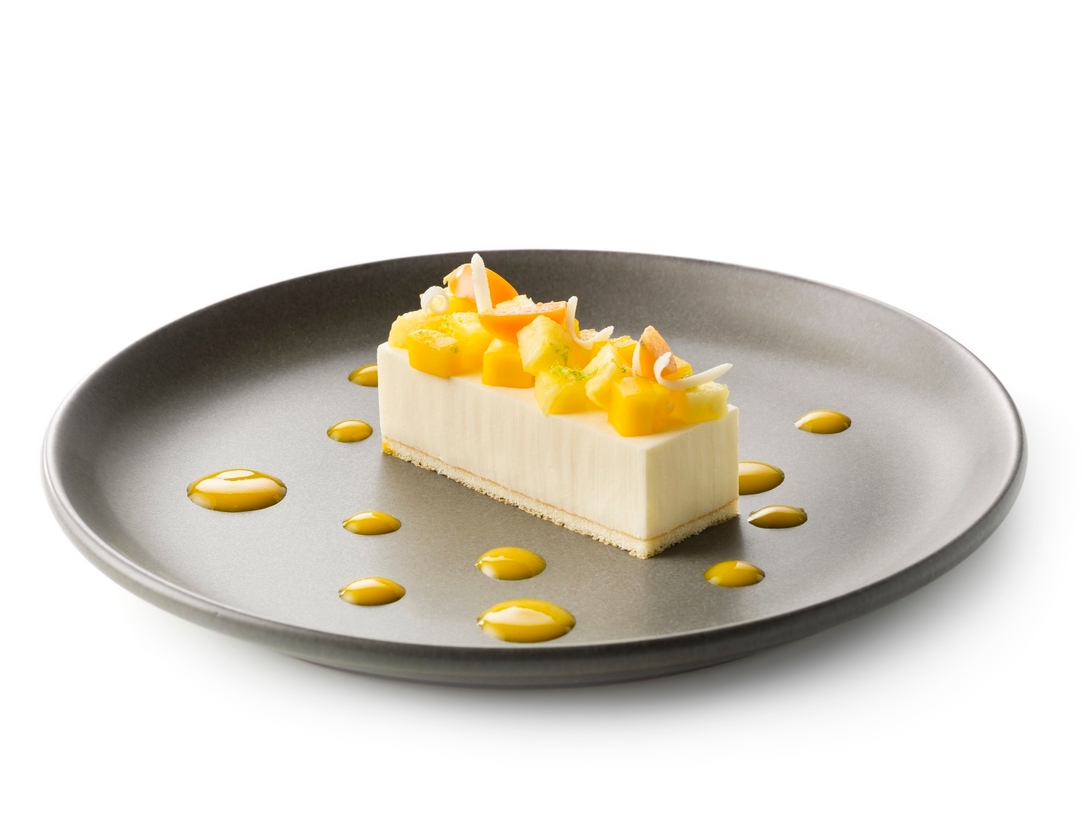 Mascarpone cream bar with tropical fruit - photo1 | Debic