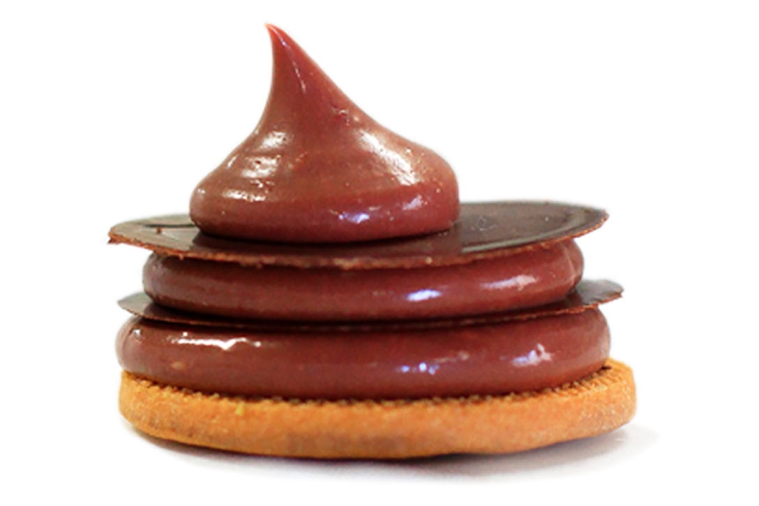 Galleta de chocolate - photo1 | Debic