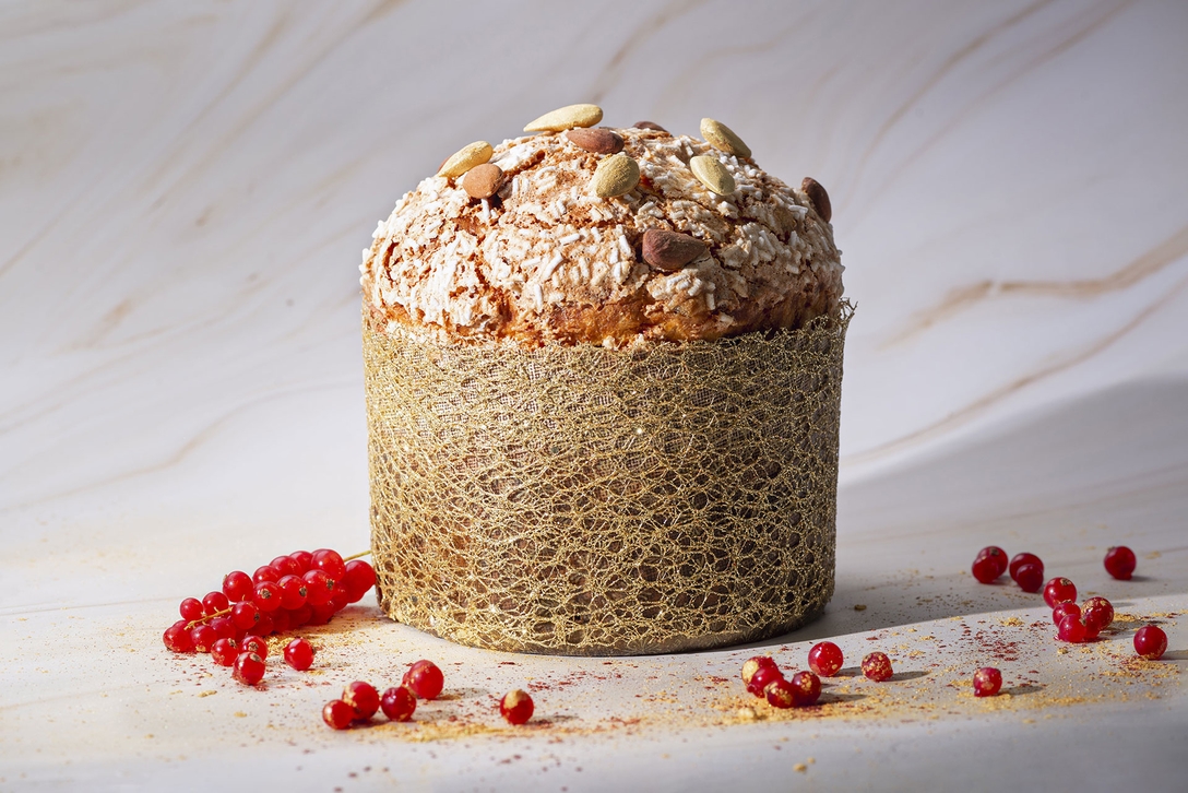 Traditional panettone - photo1 | Debic