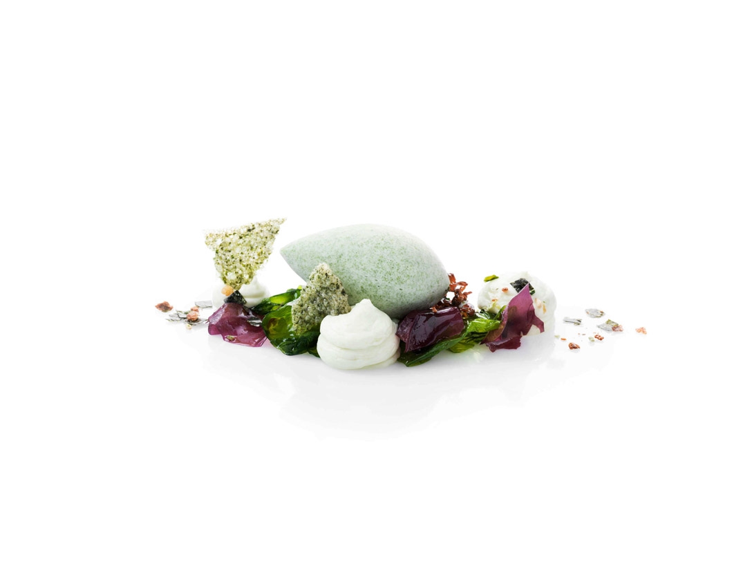 Sea lettuce mousse - photo1 | Debic