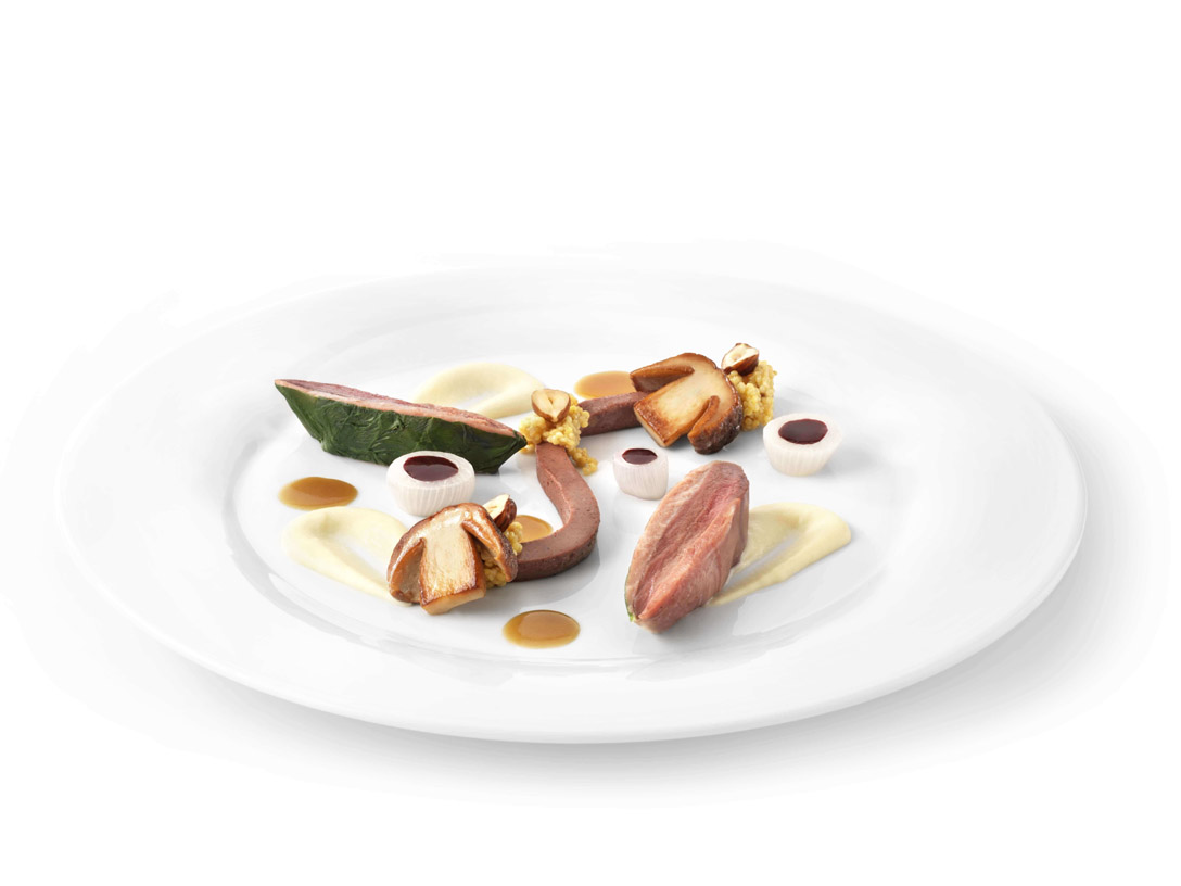 Lightly smoked wood pigeon - photo1 | Debic
