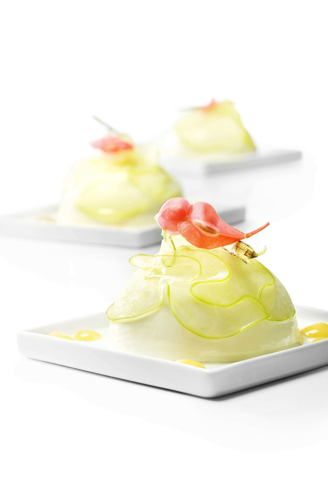 Blue cheese parfait - photo1 | Debic