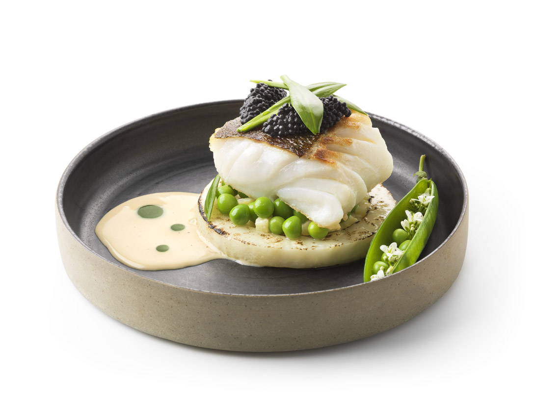 Winter Cod - photo1 | Debic