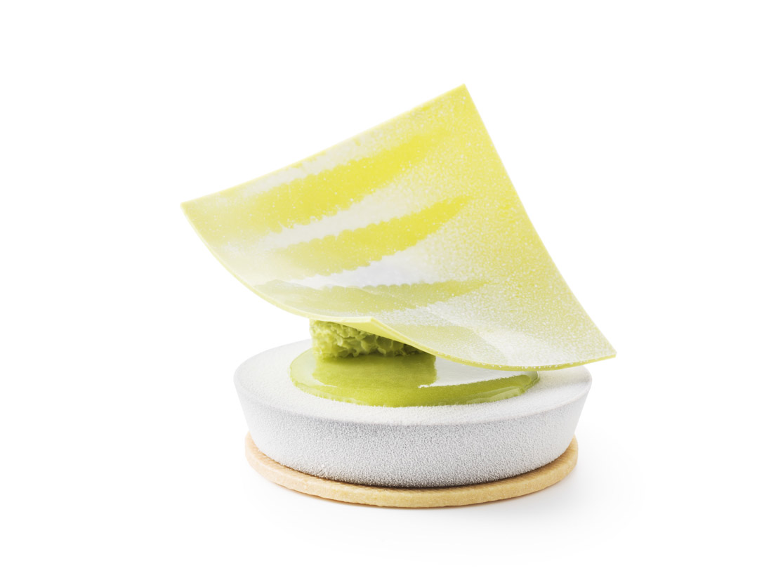 Green Forest - photo1 | Debic