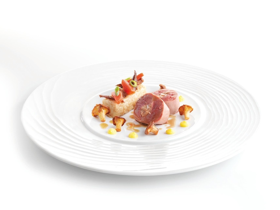 Canard sauvage - photo1 | Debic