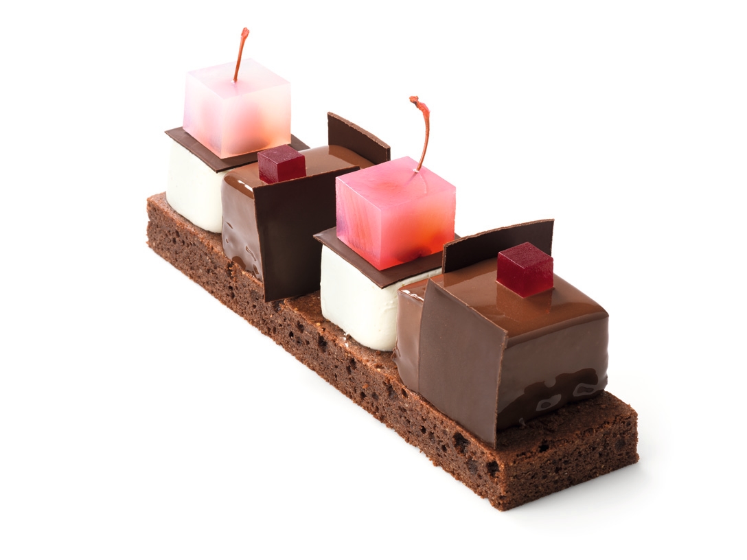 Zwarte Woud - photo1 | Debic