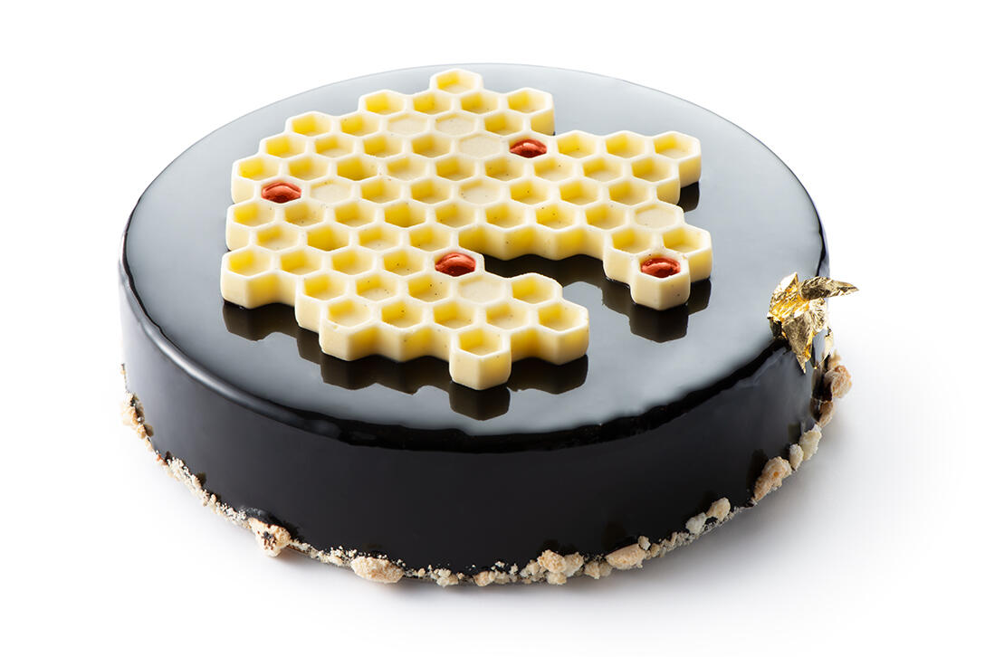 Le 95 - photo1 | Debic