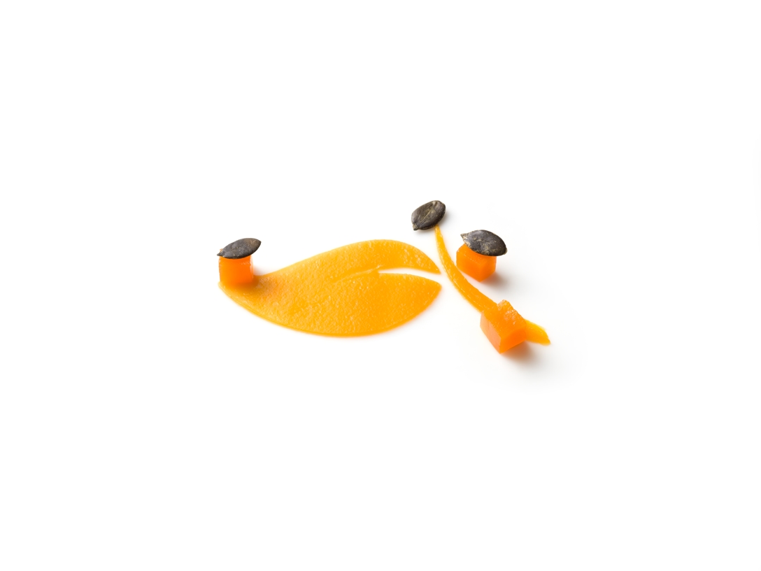 Crème de potiron - photo1 | Debic