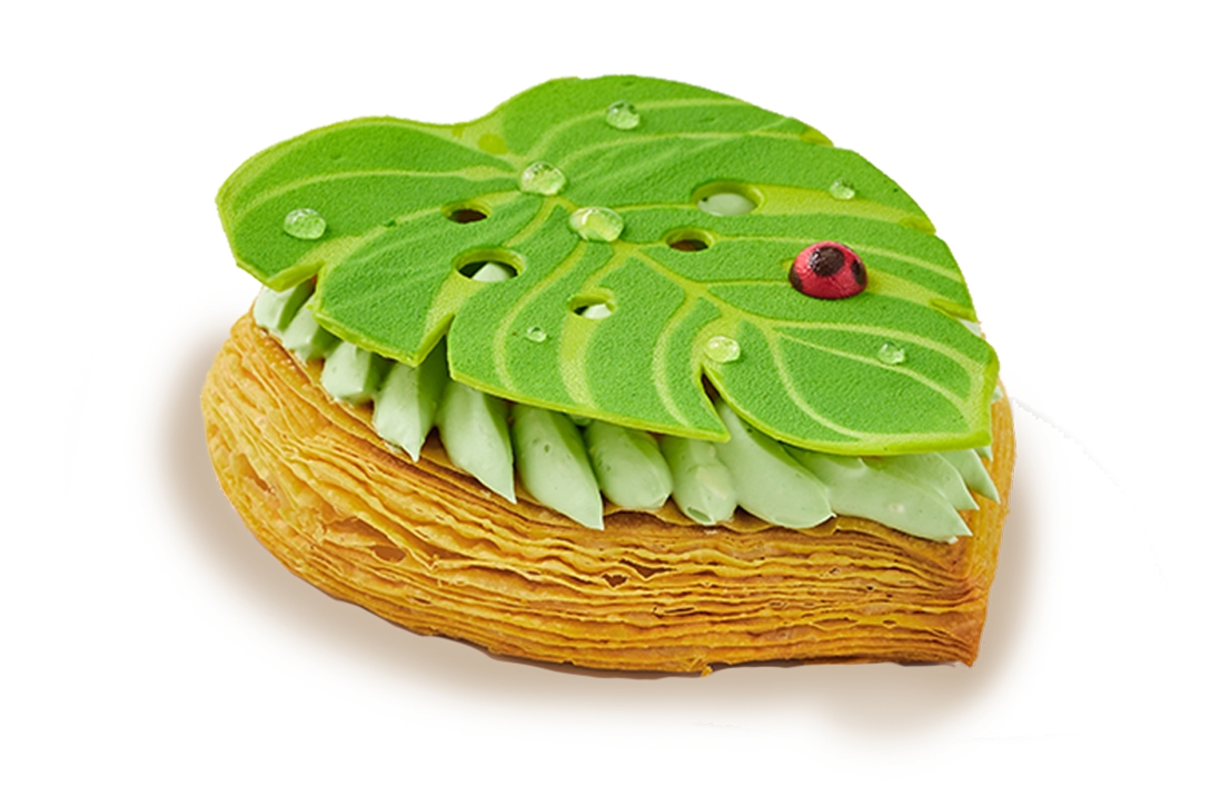 Monstera Tiramisu - photo1 | Debic