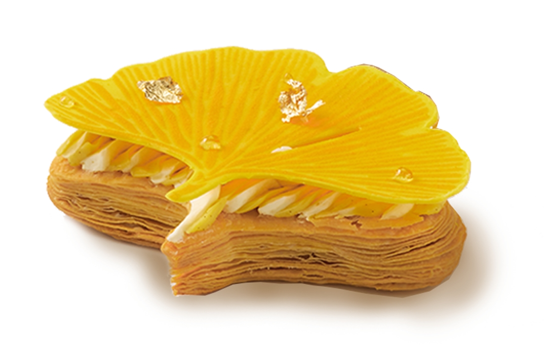 Ginko - photo1 | Debic