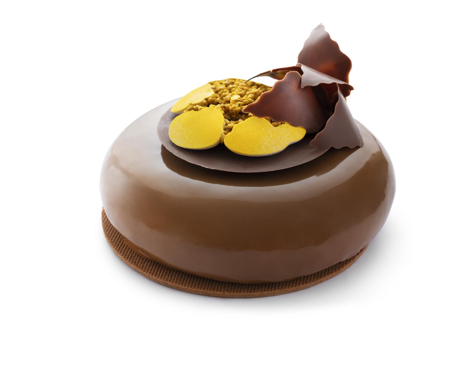 Sudachi chocolat - photo1 | Debic