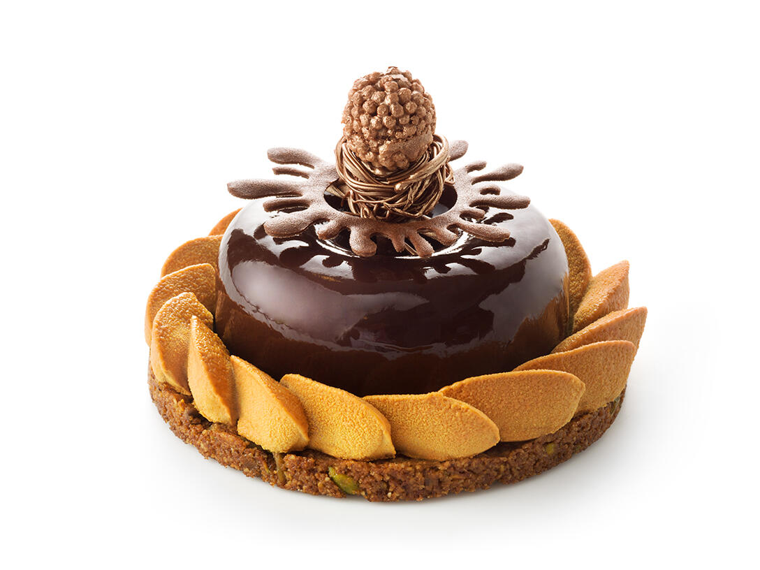 CHOCOLATE Y NARANJA SANGUÍNEA - photo1 | Debic