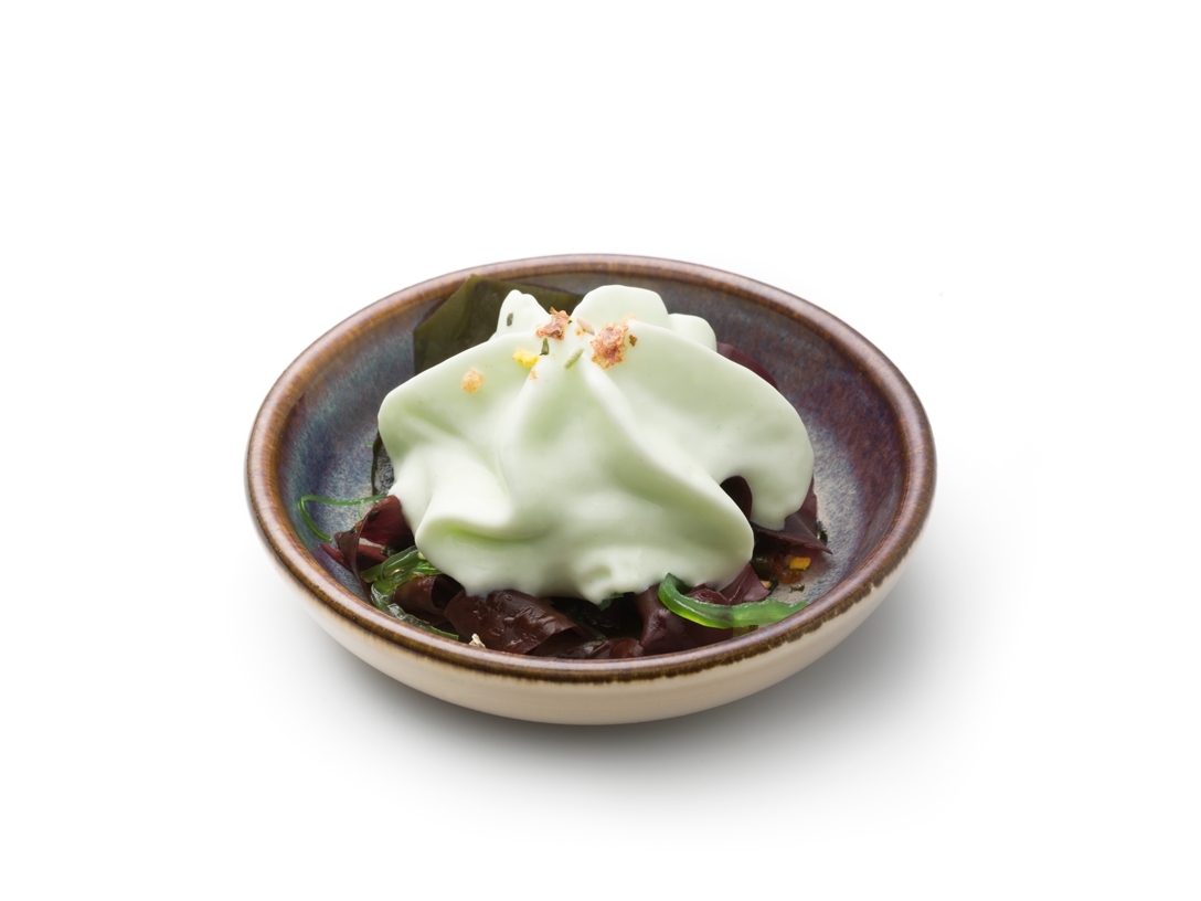 Espuma aux algues - photo1 | Debic