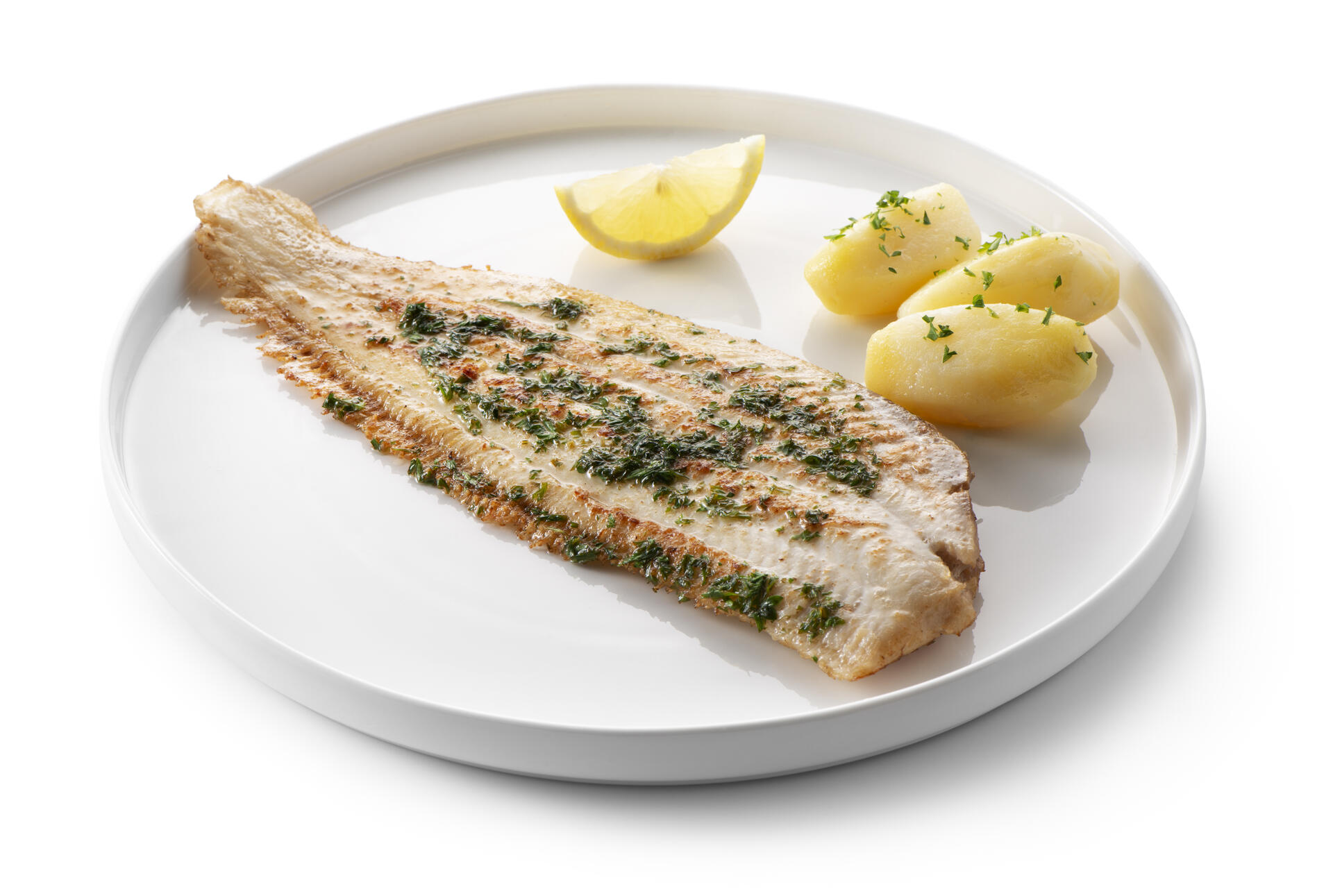 Sole meunière - photo1 | Debic