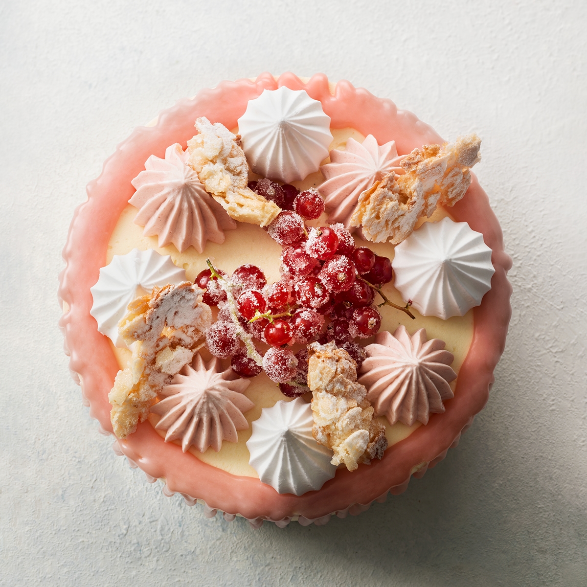 Aalbessentaartje - photo1 | Debic