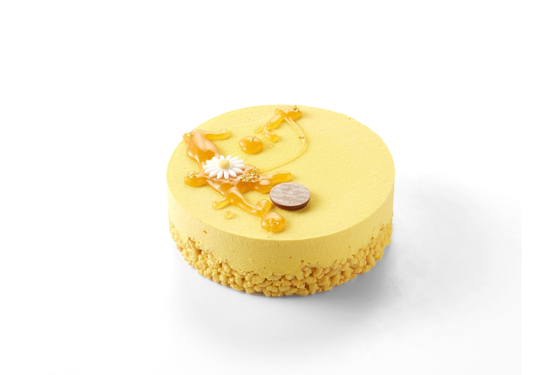 Mango Taart - photo1 | Debic