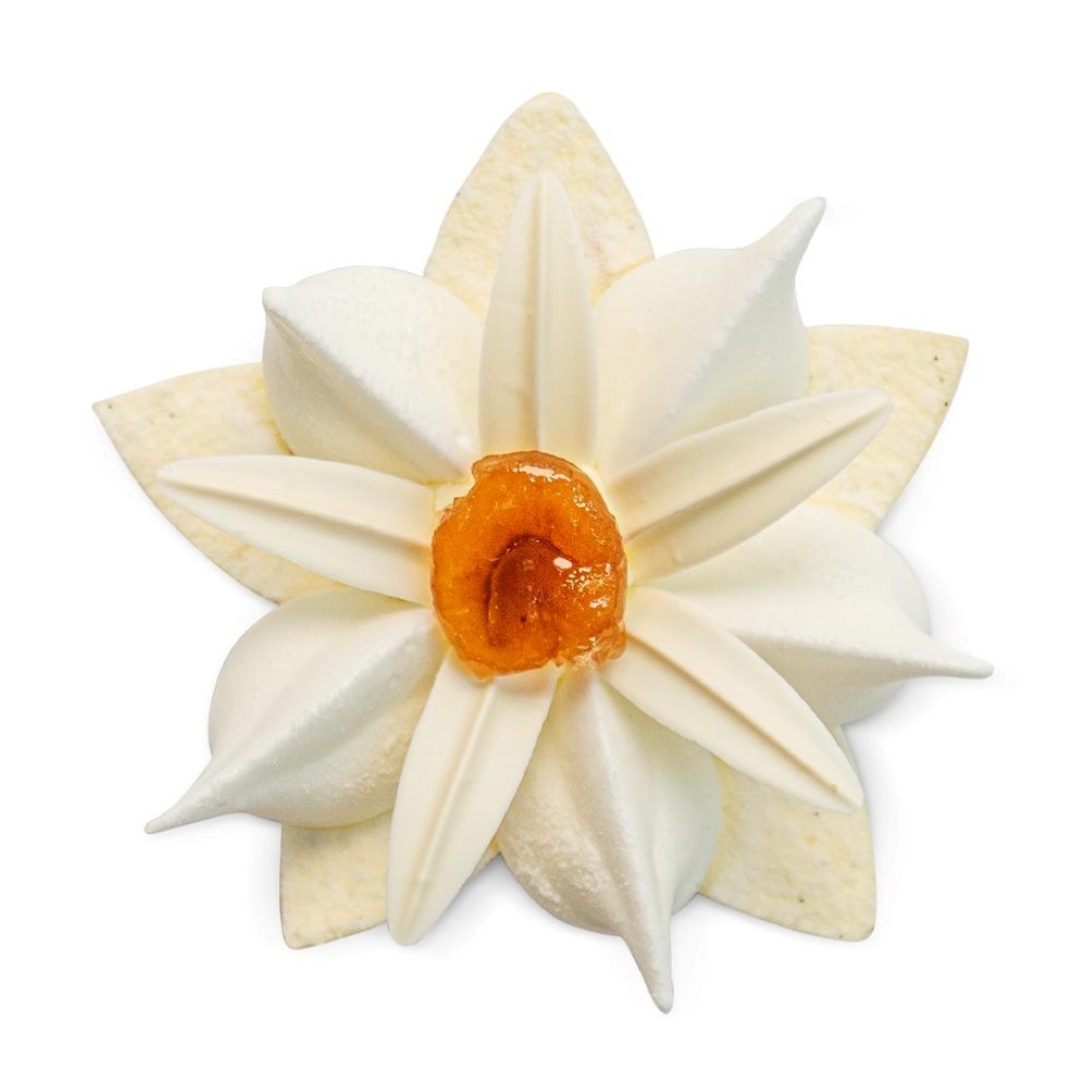 Fleur Blanche - photo1 | Debic