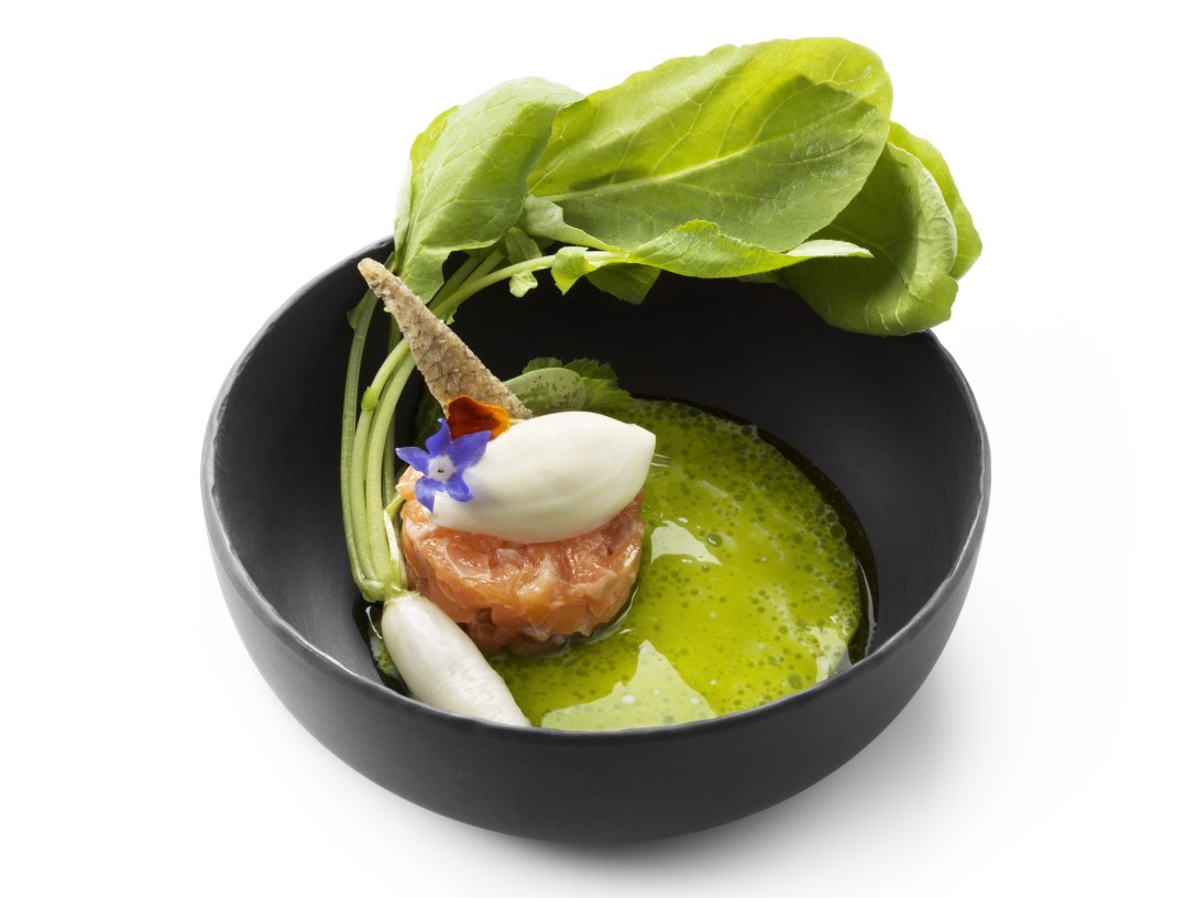 Lachstatar - photo1 | Debic