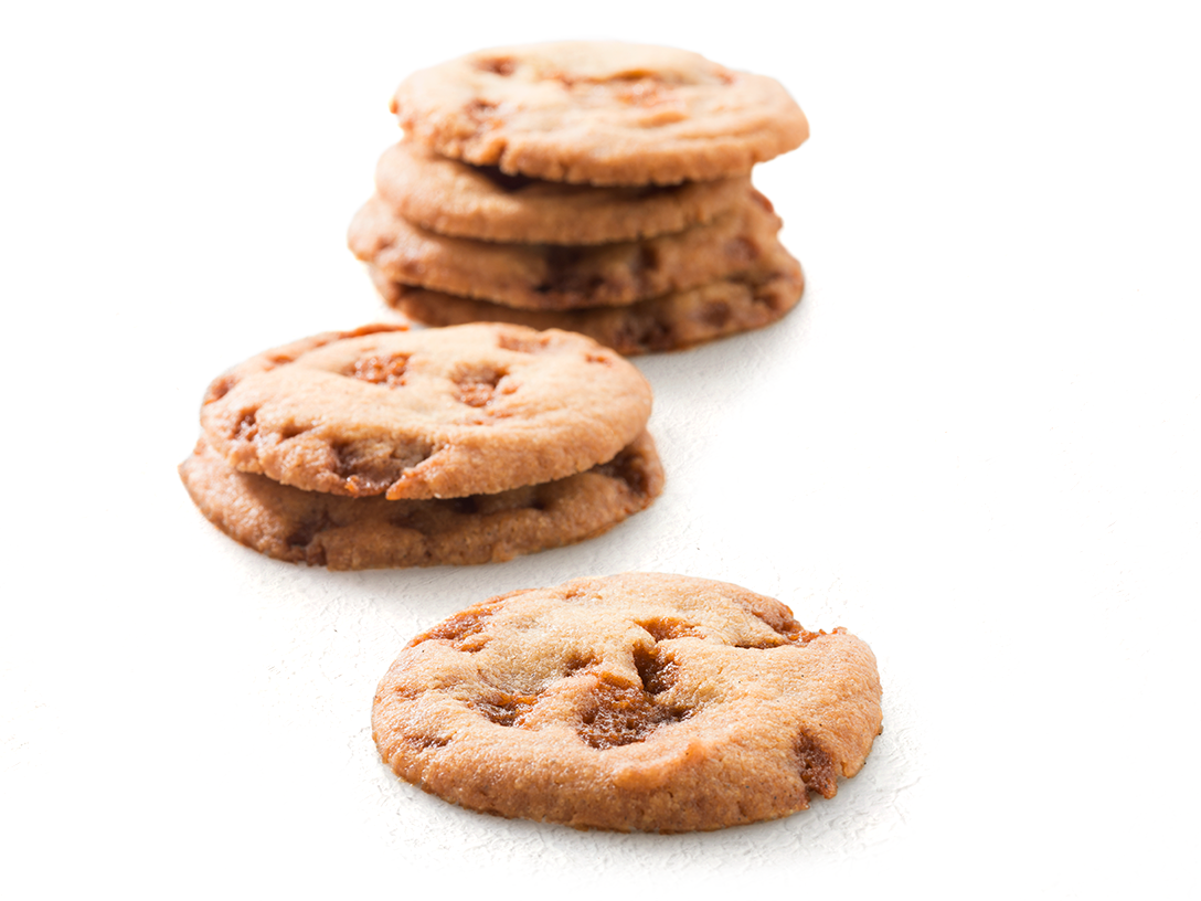 Koggetjes - photo1 | Debic