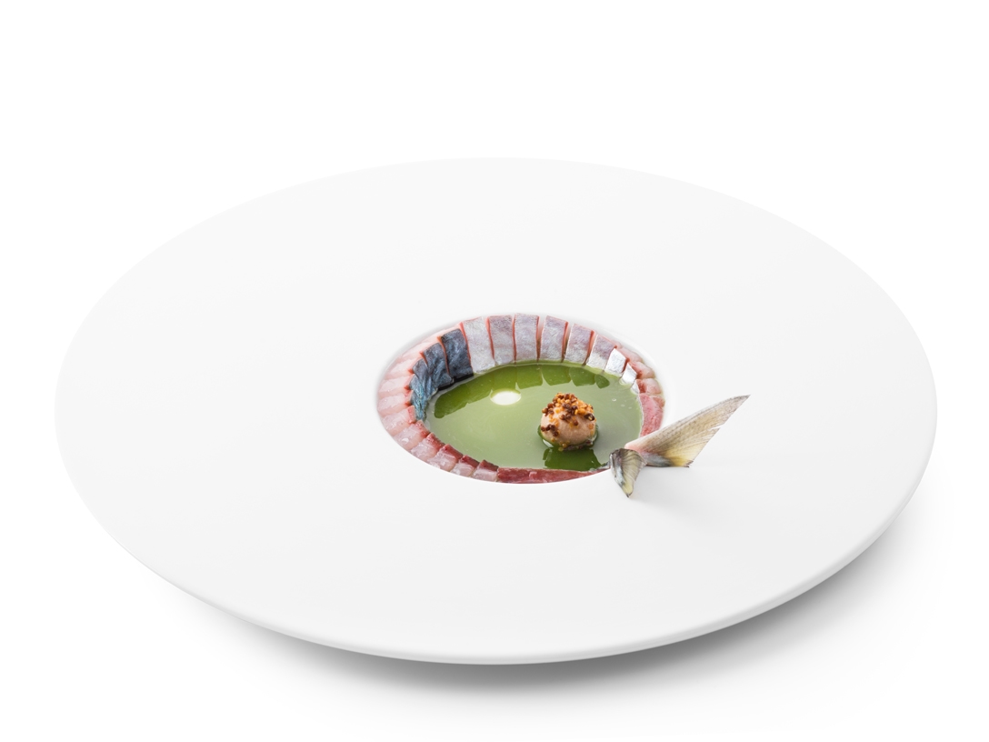 Makreel - photo1 | Debic