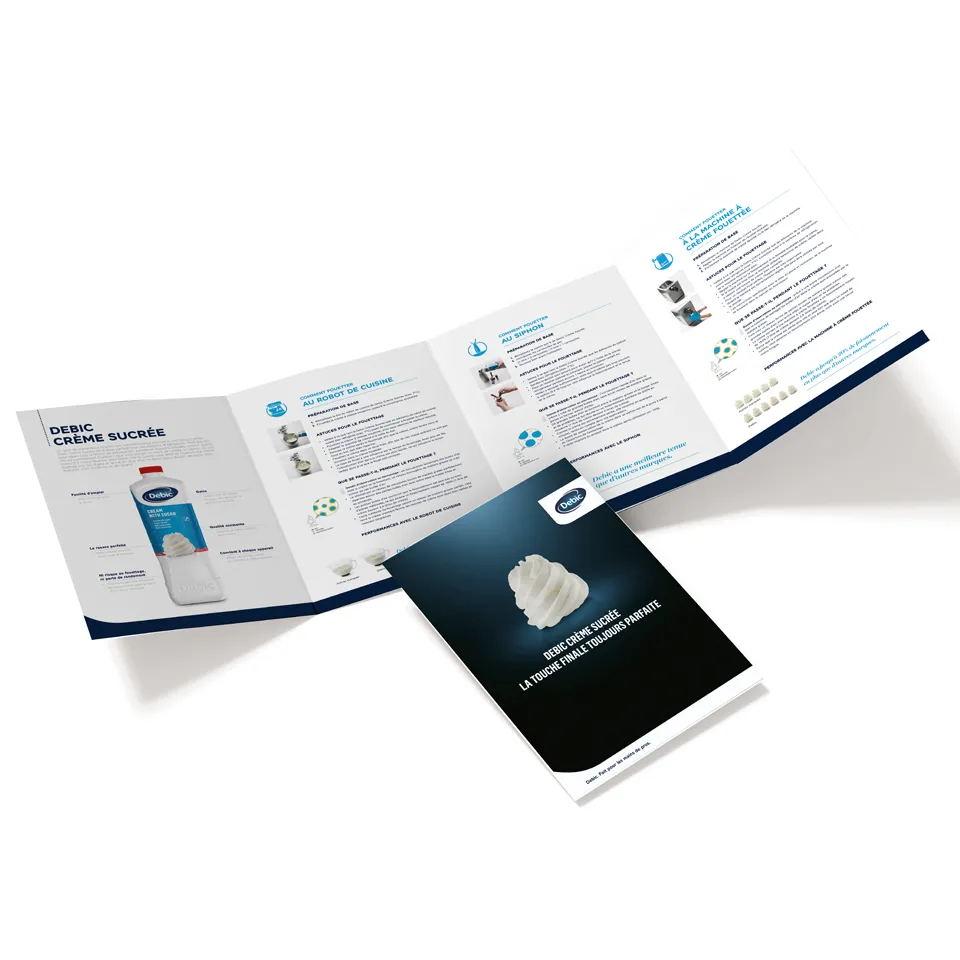 Le Guide à fouetter - photo 896595-1 | Debic