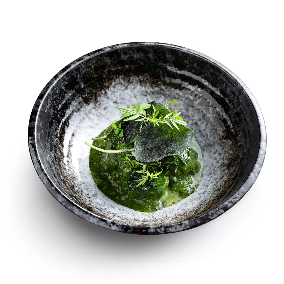 Kulinarischen Ideen - photo 1011219-1 | Debic