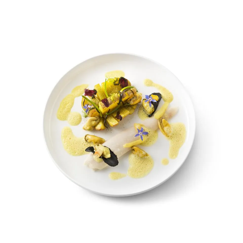 Cerchi ricette estive che ti ispirino? 