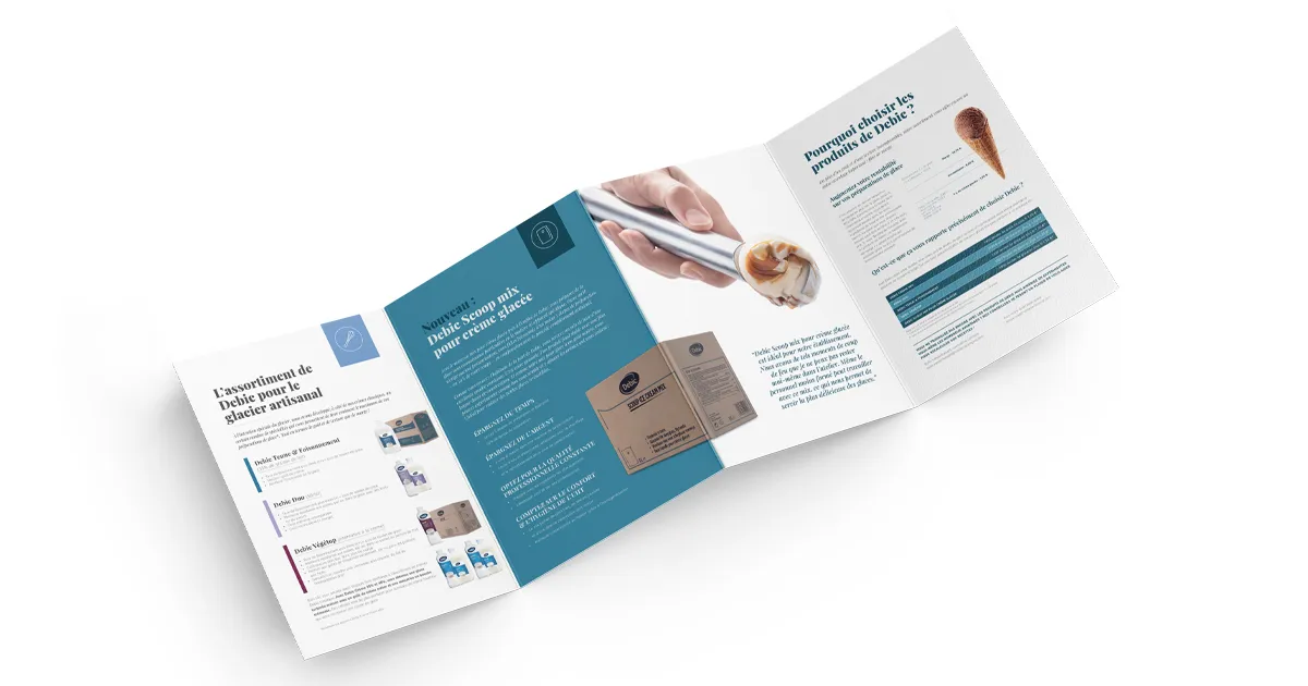 Consultez la brochure ici - photo 1419175-1 | Debic