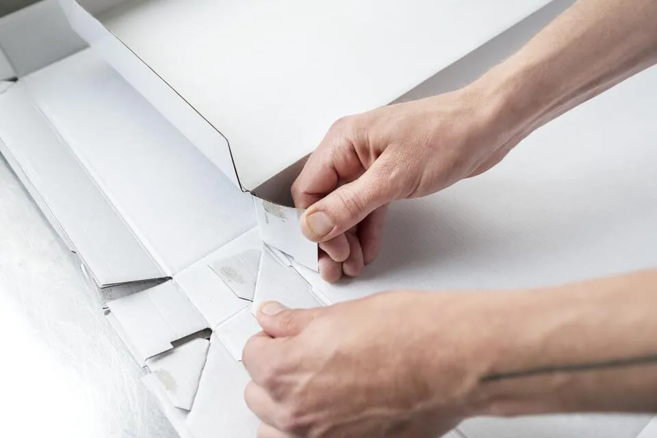 KARTON: FSC-GECERTIFICEERD - photo 1697209-1 | Debic