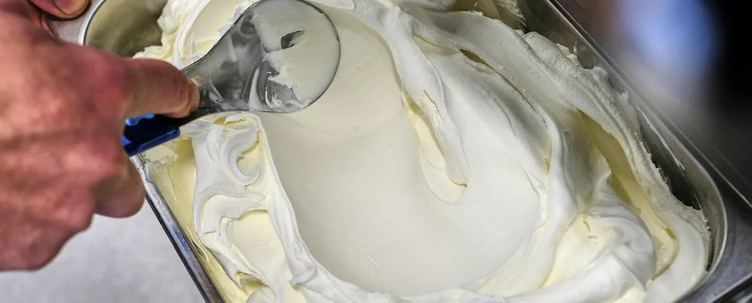 Debic Scoop Ice Cream Mix