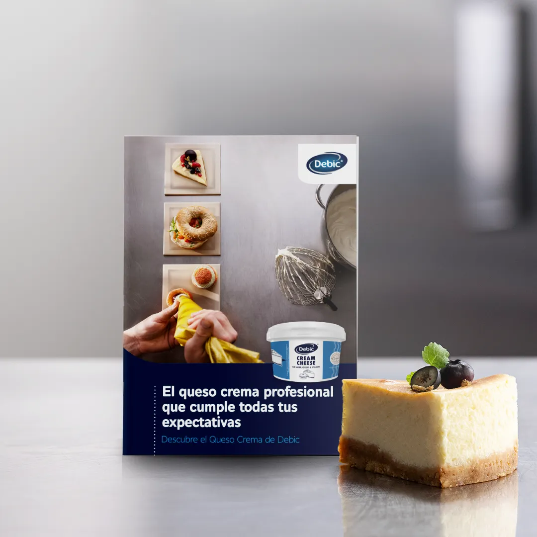 Recetario Queso Crema Debic