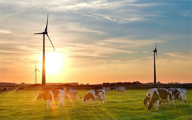 Debic veut faire la différence