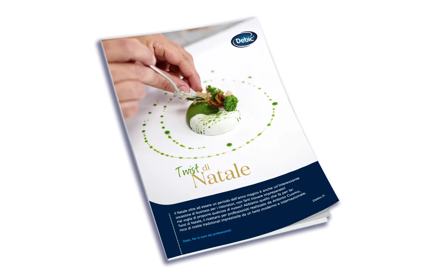 Scarica il Ricettario Twist di Natale  - photo 2948413-1 | Debic